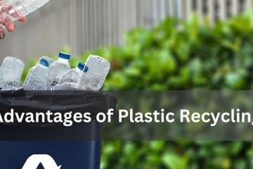 Mold Manufacturers